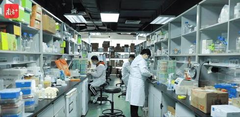 深圳創(chuàng)新，奔向未來 生物技術(shù)研發(fā)的領(lǐng)航之路