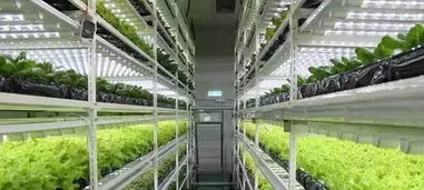 植物工廠 未來農業的先行者，走進9家頂尖生物技術研發機構